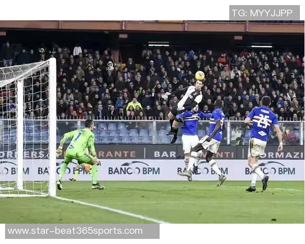 独家解析北京篮球队配合与欧冠足球战术的深度对比与启示 独家解析北京篮球队配合与欧冠足球战术的深度对比与启示