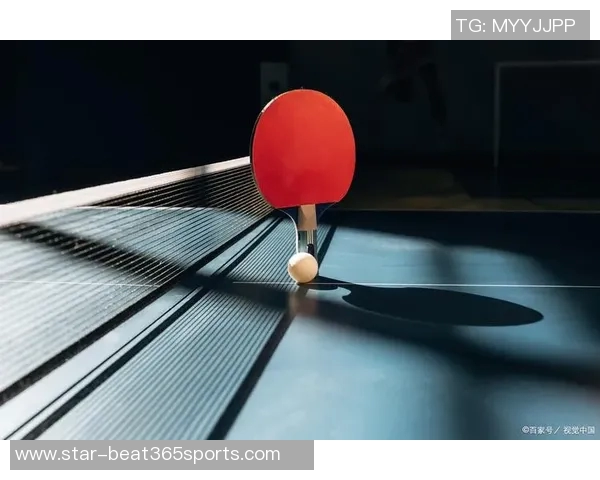 从零基础到高手之路乒乓球配合技巧全解析与实战经验分享